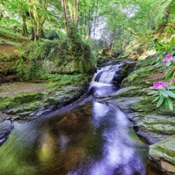 The "Devil's Coffin" Burn & Waterfall