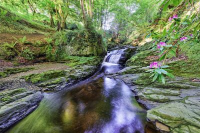 The "Devil's Coffin" Burn & Waterfall