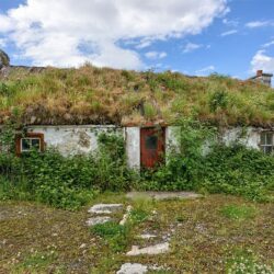 dunree-cottage_full "Reclaimed by Mother Nature"