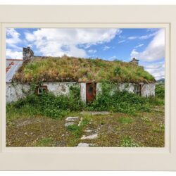 dunree-cottage_mount "Reclaimed by Mother Nature"