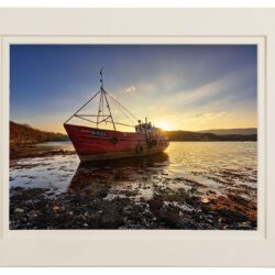 The Gently Resting “Sabrina”