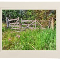 gates_mount “So Beautiful Yet Overlooked”