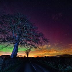 "Mothers Day Aurora"