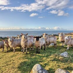 Donegal's Wild Atlantic Way