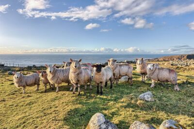 Donegal's Wild Atlantic Way