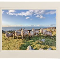 Donegal's Wild Atlantic Way
