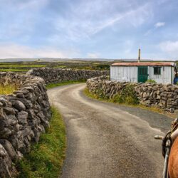 "The True Way to Experience Ireland"