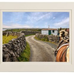 "The True Way to Experience Ireland"