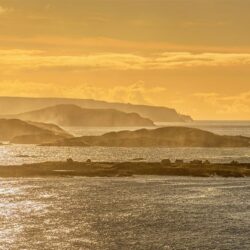 inisheerer-golden_full The Forever Island of "Inishsirrer"