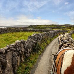 "Inisheer by Pony & Trap"