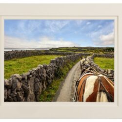 "Inisheer by Pony & Trap"