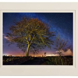 "Midnight Beneath the Old Beech"