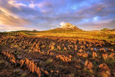 “Peat Blogland’s of Dunlewey”