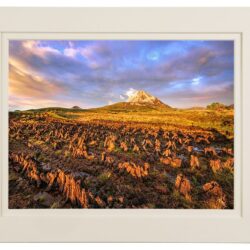 “Peat Blogland’s of Dunlewey”