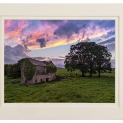The-Barn_MOUNT “Childhood Memories"