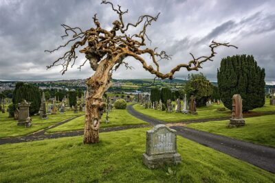 Cemetery-Tree_FULL “Grave with the Twisted Tree” – Unknown "John Doe"