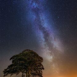 "Gazing into the abyss of our Milky Way"