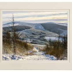 "Curraghchosaly Mountain"