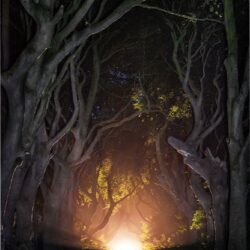 “Illuminating Darkness”