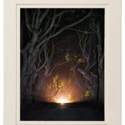 “Illuminating Darkness”