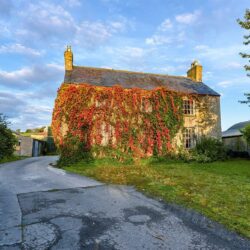 “The Ivy Homestead”
