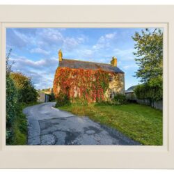 “The Ivy Homestead”