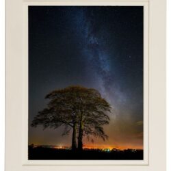 Milky-Way-Tree-2018_MOUNT “The Beech Beneath our Milky Way”