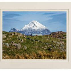 “Awaiting Irish Snowfall”