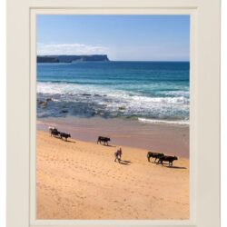 “Sharing our Shore”