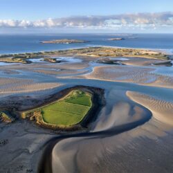The-Field_FULL “The Field” - Donegal's Adaptation ?