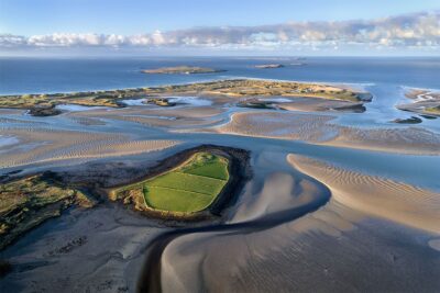 “The Field” - Donegal's Adaptation ?
