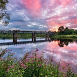 "The Old Rail Bridge of Camus”