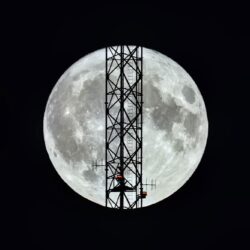 ? Full Hunter's Moon ?