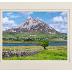 Errigal-Fairy-Trees_MOUNT "Errigal & Her Fairy Trees"