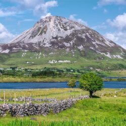 Errigal-Fairy-trees_FULL "Errigal & Her Fairy Trees"