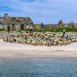 Inishkea-2020_FULL “An Unchanged Rhythm on Inishkea Island”