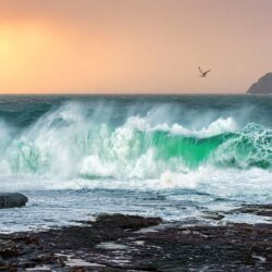 "Storm Brendan 2020 - Donegal”