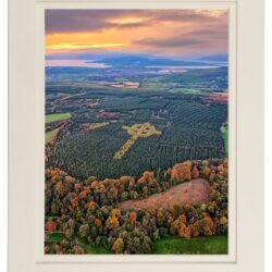 "The Emery Celtic Tree Cross"