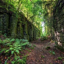 ?‍♀️ The Fairy Glen of Knocknarea ?‍♀️