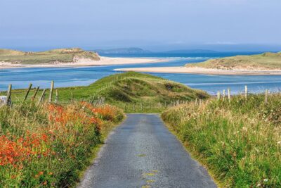 "Wildflowers of Ballyness Bay"