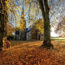 Autumn Senses
