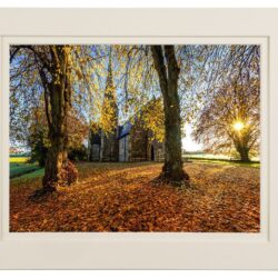 Autumn Senses