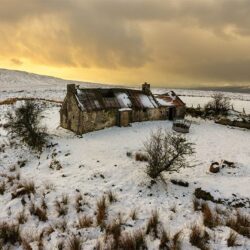 "The First Snowfall"