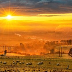 ‘Welcoming Spring’s Return'