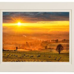‘Welcoming Spring’s Return'