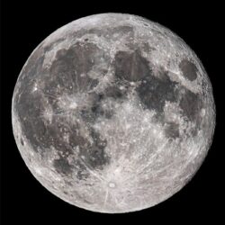 'The Flower Supermoon'