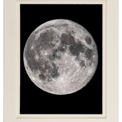 'The Flower Supermoon'