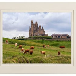 ‘Classiebawn Pastures’