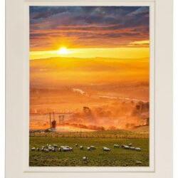 ‘A Grand Stretch in the Evenings’