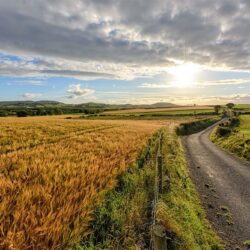 Summer's Light - Inishowen - Ireland